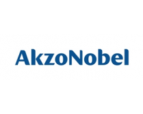 Logo AkzoNobel (209575)